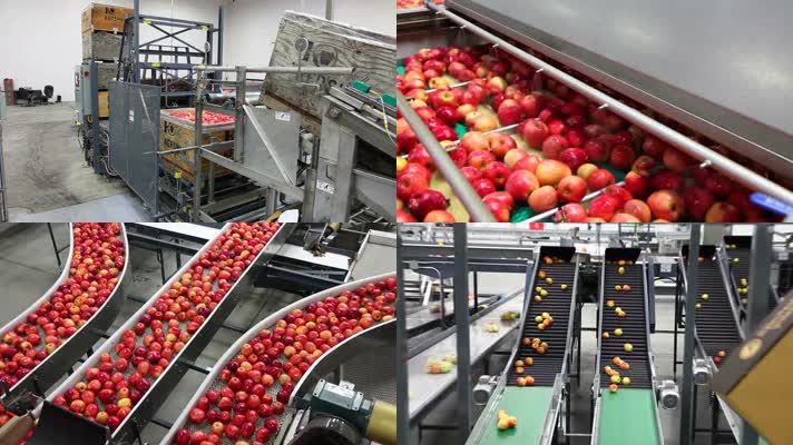 水果苹果清洗包装自动化生产线设备