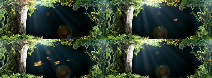 3D森林幻影全息
