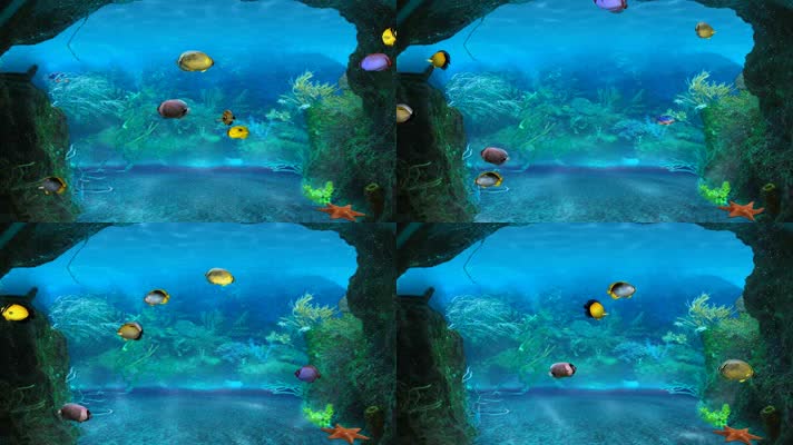 唯美梦幻3D水族馆生态水缸热带鱼群 