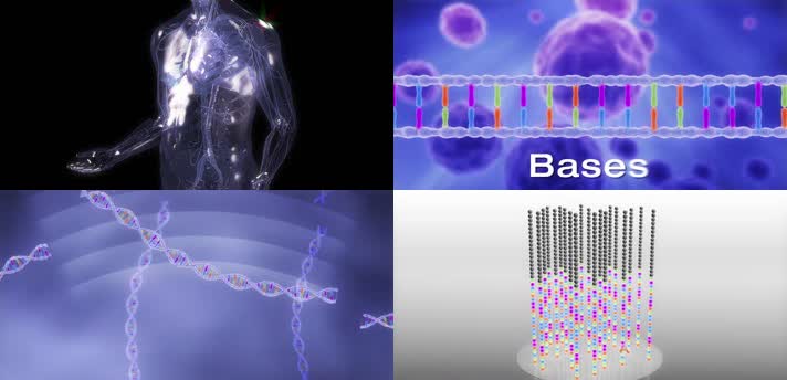 3D基因组测序医疗视频