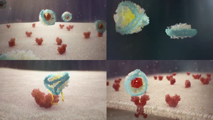 3DB细胞淋巴瘤医疗视频