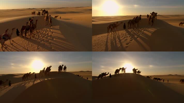 夕阳撒哈拉沙漠骆驼商队