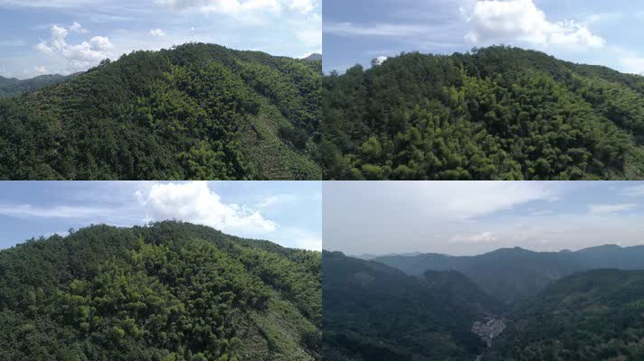 浙江森林4K