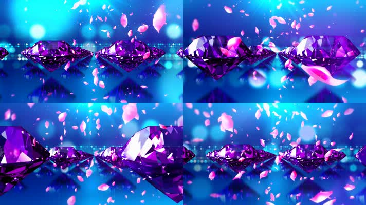 紫色钻石玫瑰花瓣