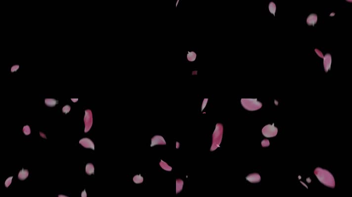 粉色花瓣循环通道 (3)
