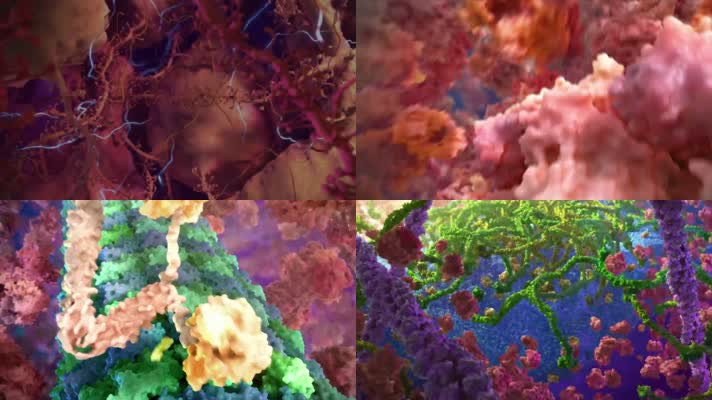3D细胞蛋白质医疗视频