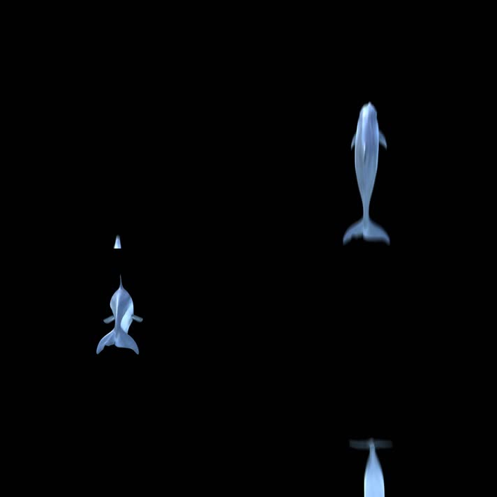 2K三维影视级海豚跃出水面（带通道） 