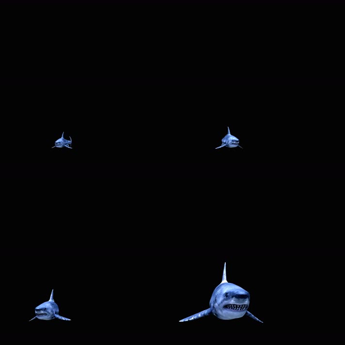 4K影视级三维凶猛鲨鱼通道