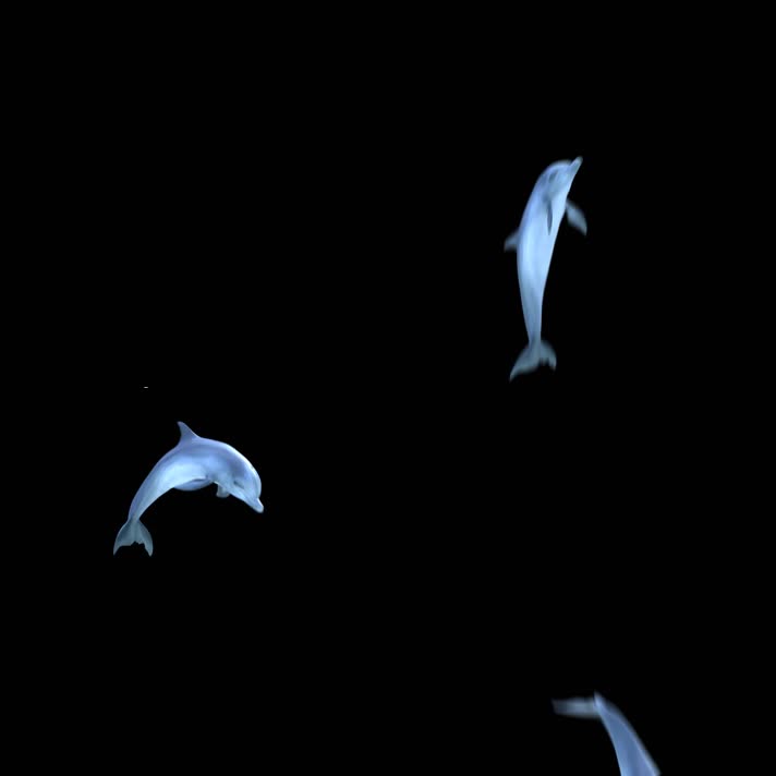 2K三维影视级海豚跃出水面（带通道） 