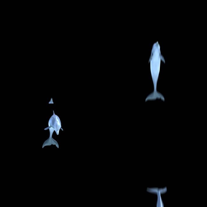 2K三维影视级海豚跃出水面（带通道）