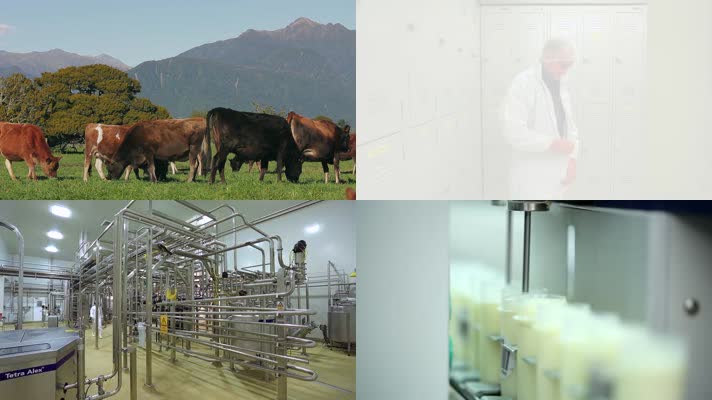 新西兰乳制品生产包装运输企业宣传片