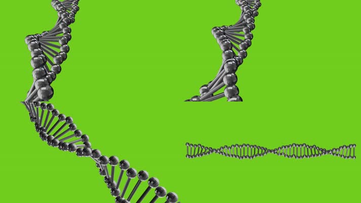 DNA绿屏