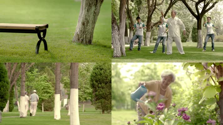 老年人清闲生活公园锻炼身体钓鱼跑步打太极浇花高清视频拍摄