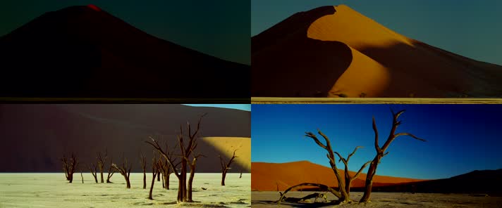 沙漠荒山戈壁枯树烈日
