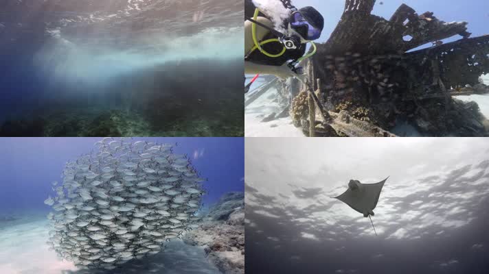 美丽塞班岛海底世界探险
