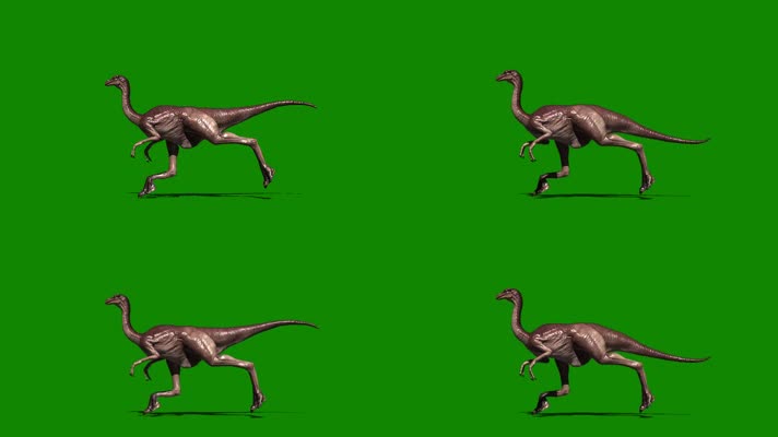 绿屏恐龙奔跑 