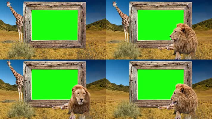 非洲草原长颈鹿狮子相框抠像素材