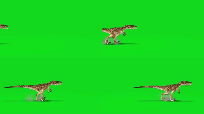 绿屏恐龙奔跑 (2)