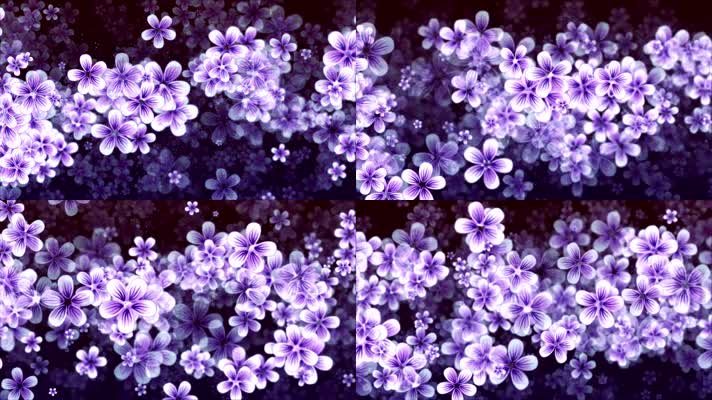 浪漫花卉花瓣花朵背景视频