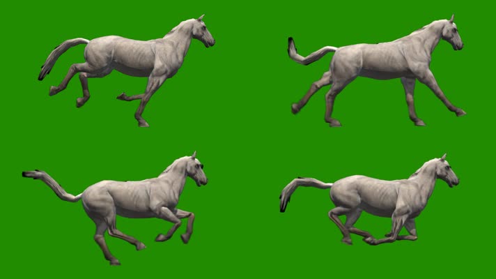 绿屏白马奔跑特效素材