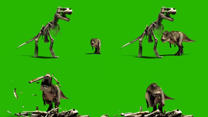 绿屏凶猛的恐龙霸王龙特效抠像素材