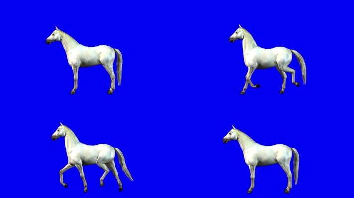 蓝屏白马奔跑特效抠像素材