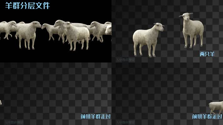 【HD】羊群制作分成文件