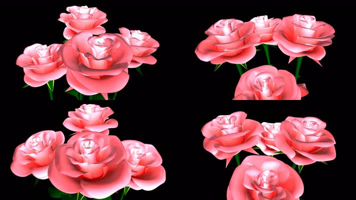 旋转的花朵 鲜花 花瓣 玫瑰 