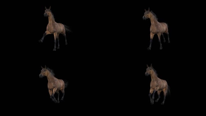 马奔跑（前侧面）1