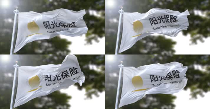 【4K】阳光保险集团股份有限公司旗帜
