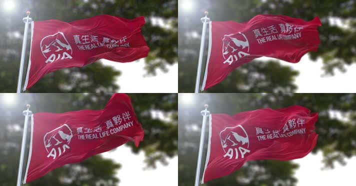 【4K】友邦保险控股有限公司旗帜B