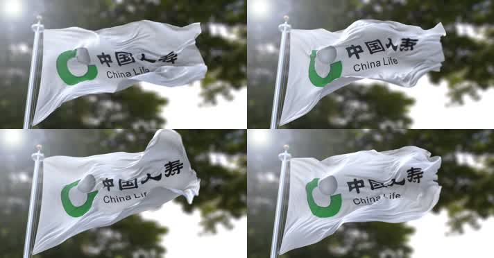 【4K】中国人寿保险（集团）公司旗帜B