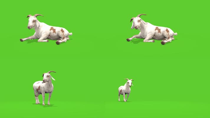 绿屏山羊抠像特效素材