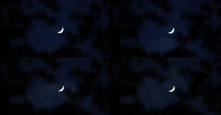 4K透过树叶拍摄月亮