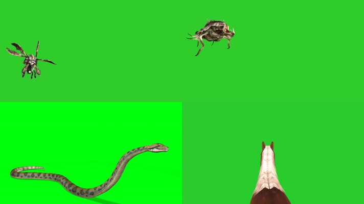 绿屏蝇虫蛇马特效抠像素材