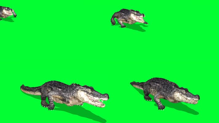 绿屏鳄鱼攻击抠像特效素材