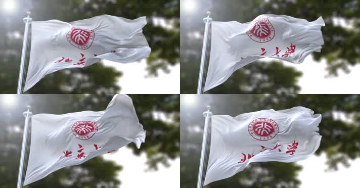 【4K】校旗·北京大学C