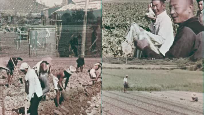 60年代农业生产-种地施肥打农药
