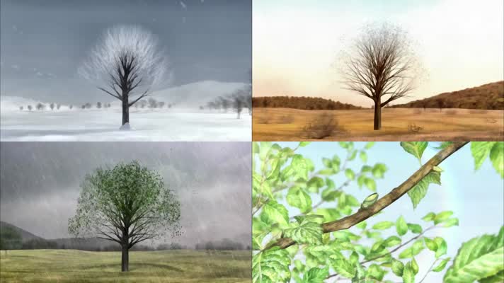 四季树木动画