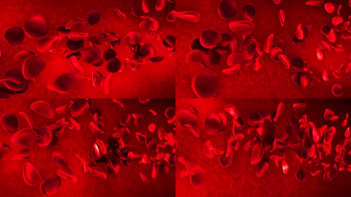 鲜红血液细胞分子流动2