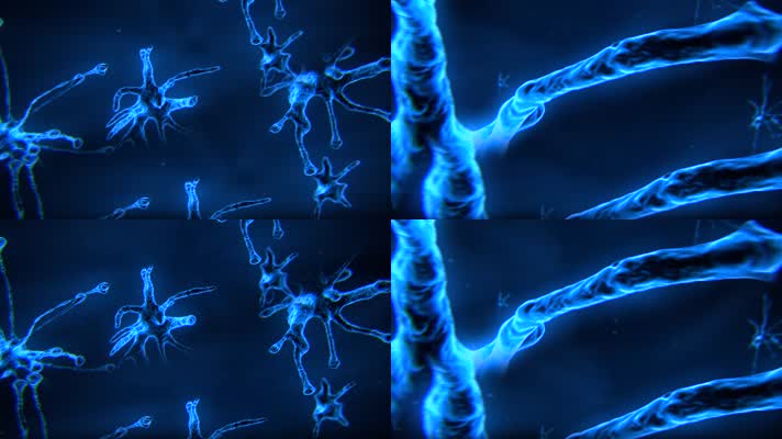 细胞DNA分子神经网络结构