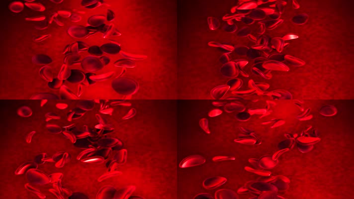 鲜红血液细胞分子流动