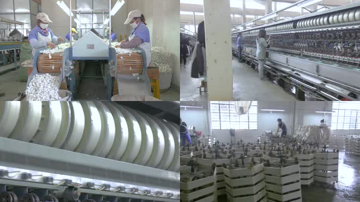 茧丝绸公司运用高科技科学化加工生产蚕丝抽