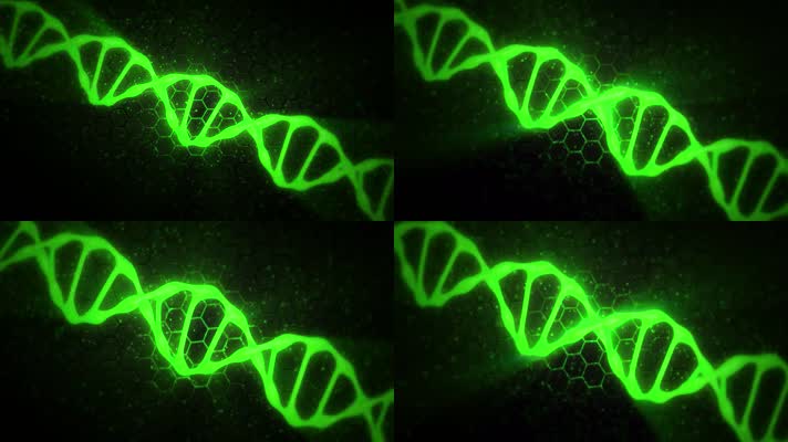 dna基因链双螺旋结构2
