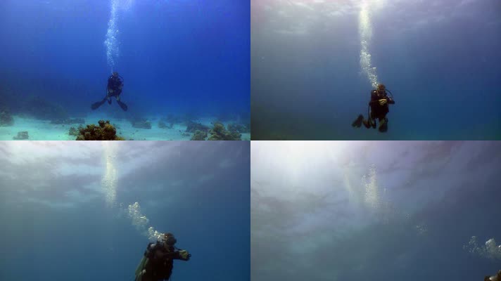 潜入海底探险