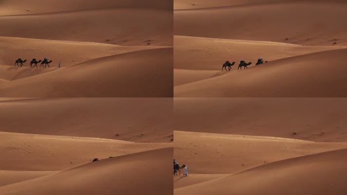 沙漠骆驼丝绸之路苦行僧