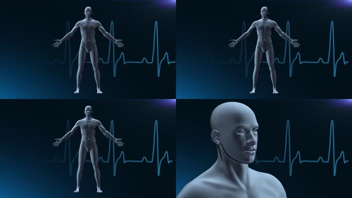 人体模型医疗跳动脉搏三维动画