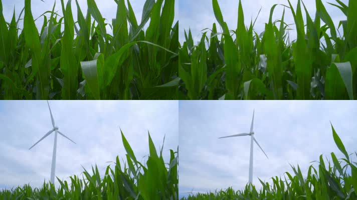 风力发电 风车 新能源 风力发电厂 