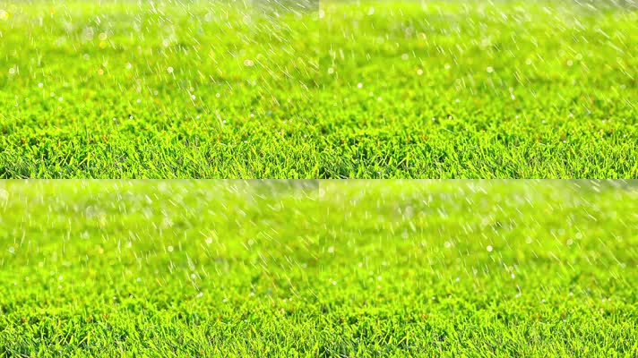 草地下雨