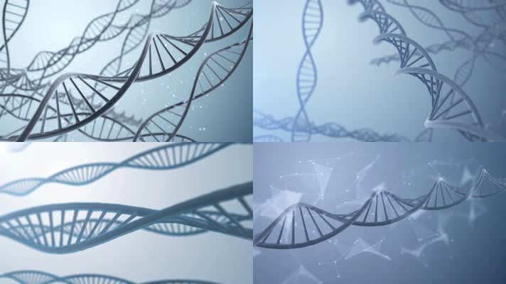 医疗医学生物科技DNA链条染色体结构元素